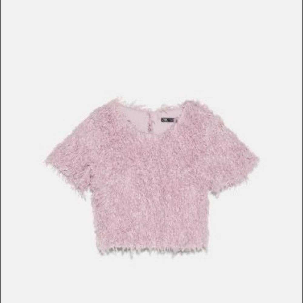 NWT FEATHER ZARA TOP